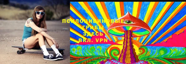 молекула духа Вязьма
