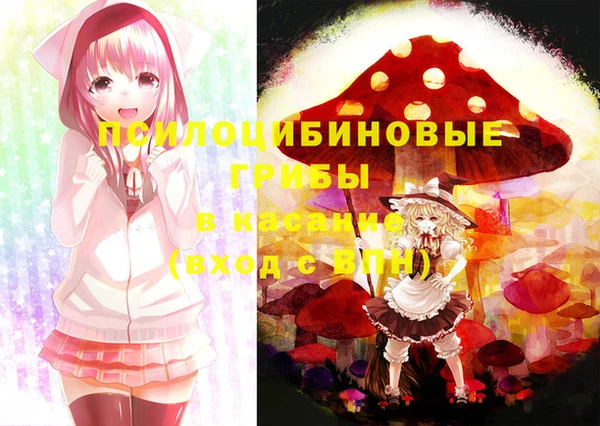 молекула духа Вязьма