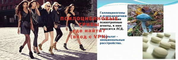 прущие крисы Горняк