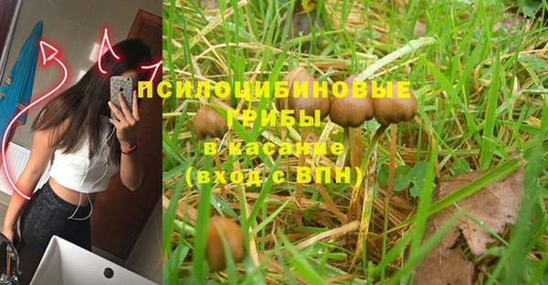 прущие крисы Горняк