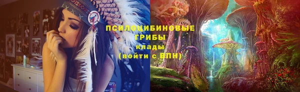 прущие крисы Горняк