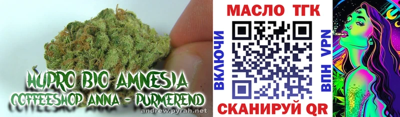 Купить  Кяхта  ТГК вейп 