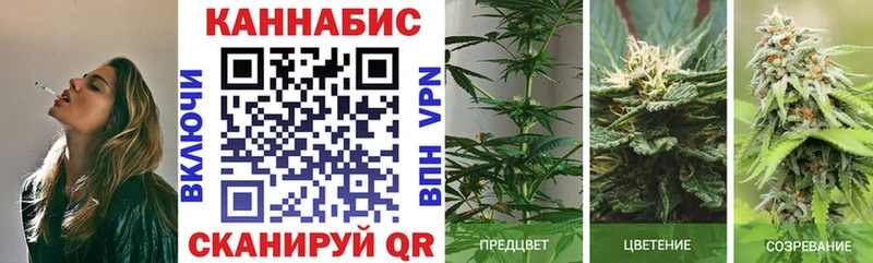 МАРИХУАНА Amnesia Купить где Кяхта